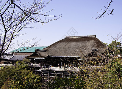 日本京都的木森津德拉寺庙图片