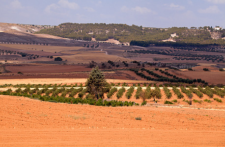 西班牙酒庄西班牙典型的农村地貌背景