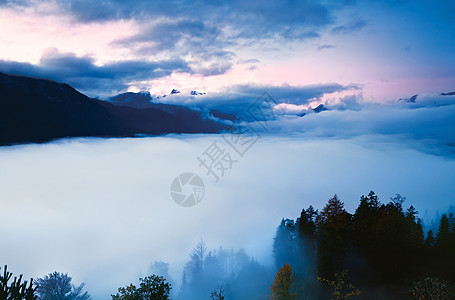高山的晨雾山脉高地森林旅行戏剧性农村天堂荒野风景天气图片