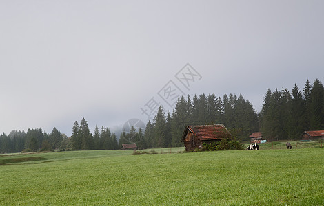 清晨雾中的小村庄图片