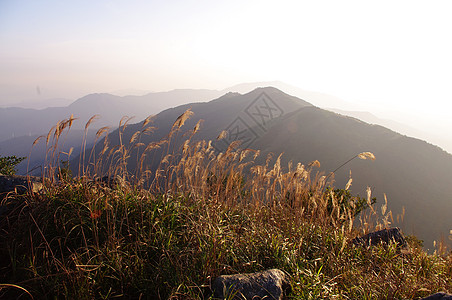 岛南中华山的日落海洋岩石阳光半岛爬坡草地生活杂草山麓安全图片