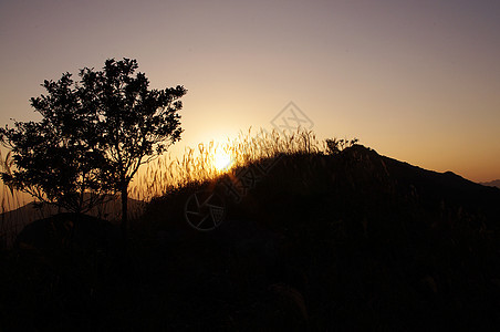 岛南中华山的日落辉光生活山麓海洋草地树叶天空奶海杂草安全图片