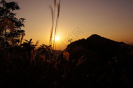 岛南中华山的日落岩石爬坡安全辉光杂草奶海山麓草原树叶太阳图片