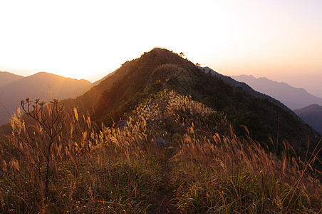 岛南中华山的日落草地树叶爬坡辉光山麓海洋奶海安全太阳草原图片