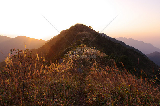 岛南中华山的日落草地树叶爬坡辉光山麓海洋奶海安全太阳草原图片