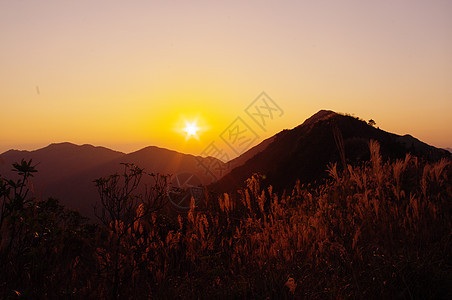 岛南中华山的日落草原奶海山麓杂草树叶辉光生活安全海岸线爬坡图片