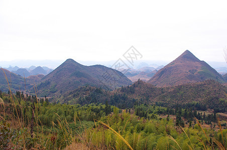 中华南部的喀斯特地貌山脊山顶亚热带树木旗帜热带仙境杂草岩溶阳光图片