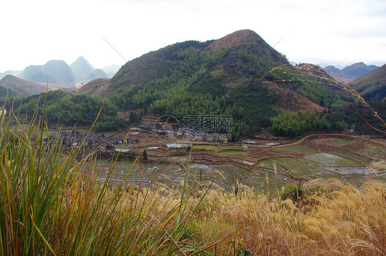 中华南部的喀斯特地貌森林阳台亚热带太阳树木杂草阳光山脉山顶草原图片