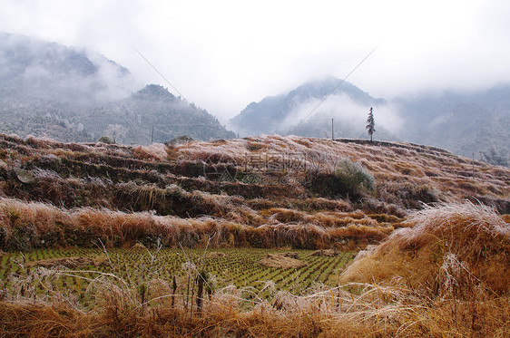 中华南部大雪后稻田阳台松树天空太阳草地悬崖草原热带风景树木图片