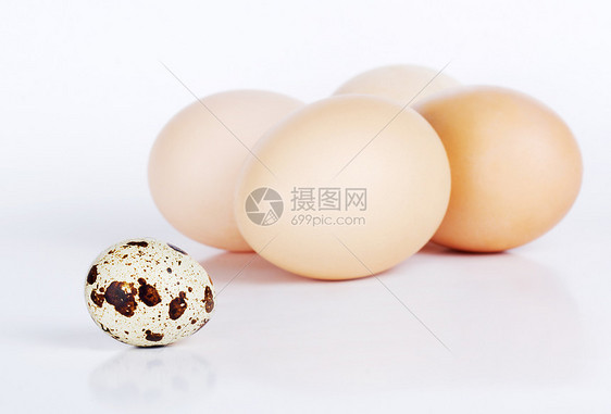 不一样工作室棕色水平宏观尺寸母鸡脆弱性食物白色早餐图片
