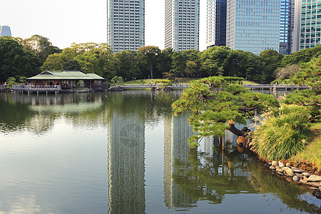 哈马里秋Zen花园松树景观传统茶馆摩天大楼文化池塘公园城市图片