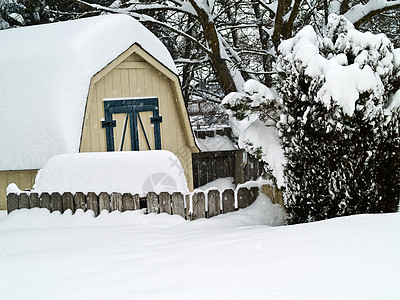 后院的重雪瀑布烟囱水晶冰柱风暴寒冷气候松树天气季节降雪公园图片