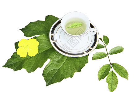 白色背景的绿页上茶杯中的茶飞碟商品陶瓷床单绿色黑色黄色图片