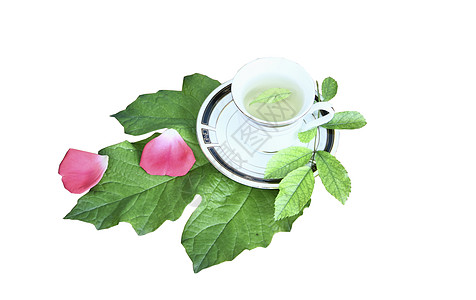 白色背景的绿页上茶杯中的茶商品床单花瓣粉色飞碟陶瓷绿色黑色背景图片