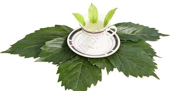 白色背景的绿页上茶杯中的茶床单飞碟陶瓷商品绿色黑色图片