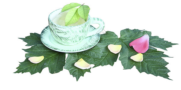 白色背景的绿页上茶杯中的茶商品黄色粉色床单花瓣绿色陶瓷飞碟图片