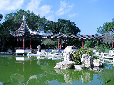 华人花园图片