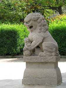 狮子狮大厅池塘树木雕像沉思喷泉冥想狮子图片