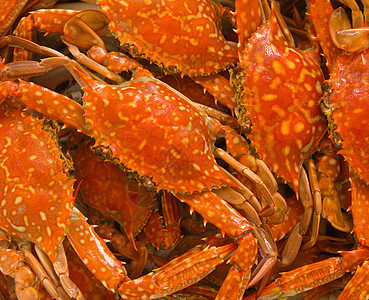 蓝螃蟹煮熟食物烹饪红色橙子餐厅海鲜美食图片