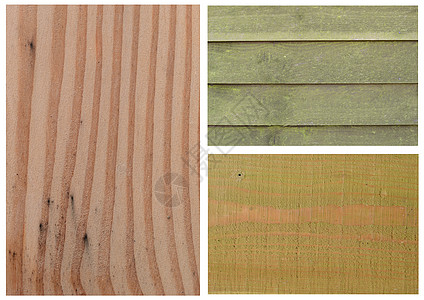 木木纹理棕色框架曲线绿色背景图片