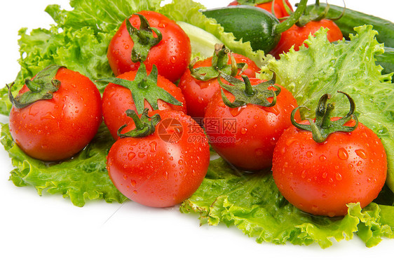 黄瓜和西红柿准备吃沙拉白色饮食茶点红色感恩盘子团体生产绿色食物图片