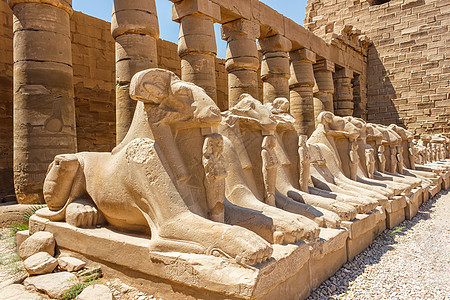 埃及卡纳克寺庙古老废墟古物狮身历史纪念碑法老国王雕刻旅游文明人面图片
