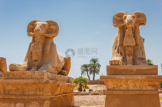 埃及卡纳克寺庙古老废墟纪念馆柱子人面象形雕刻纪念碑上帝雕像古物旅行图片