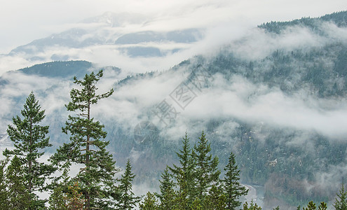 Cloudy山地景观前的树木图片