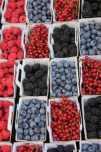 蓝色和红莓摊位零售紫色销售生产店铺醋栗纸板水果盒子图片