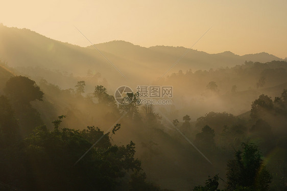 山上喷雾的风景灯光气氛季节薄雾日出荣耀旅行森林农村爬坡图片