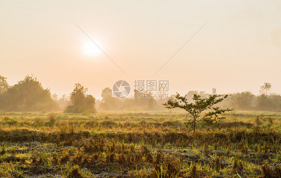 清晨在草地上天空季节植物场地蓝色风景土地阳光日光日落图片