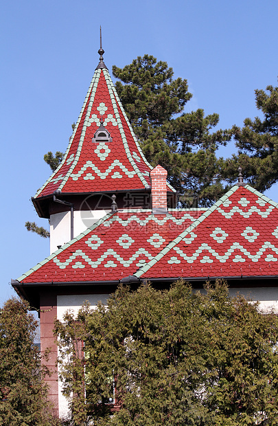 屋顶有多彩瓷砖的旧房子图片