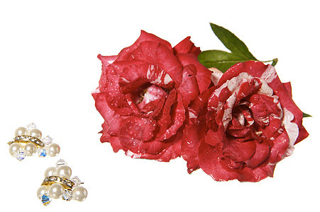 情人节珍珠盒子订婚耳环女士婚礼项链戒指珠宝丝带图片