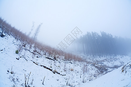 哈兹山中的雾和雪图片