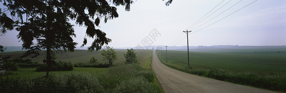 全景景观植物太阳橙子阳光小路土壤树木草地环境晴天图片