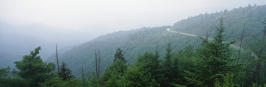 全景景观晴天地面地平线生态场景天空土地植物旅行农场图片