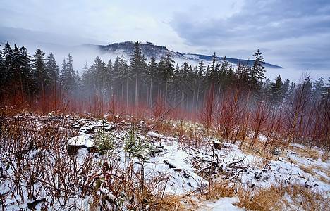 哈兹山上满是积雪图片