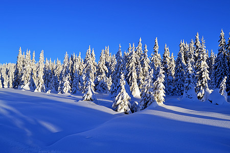 挪威里勒哈默诺德斯特冬季小屋旅游者滑雪滑道阴影图片