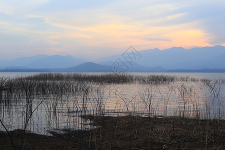 湖边的日落环影树场地支撑环境太阳高原天空日落场景松树蓝色图片