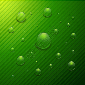 绿背景的水滴 绿色背景图片