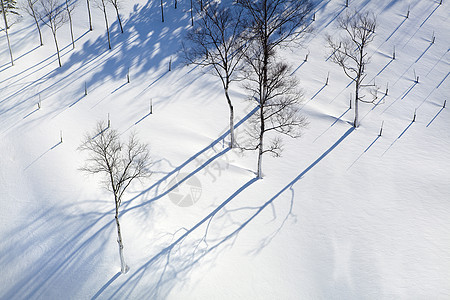 冬季雪雪景观季节森林天空首脑天气照明降雪公园高地太阳图片