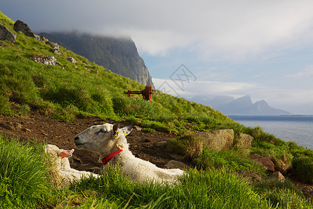 挪威的牧羊山峰山脉全景蓝色风景图片