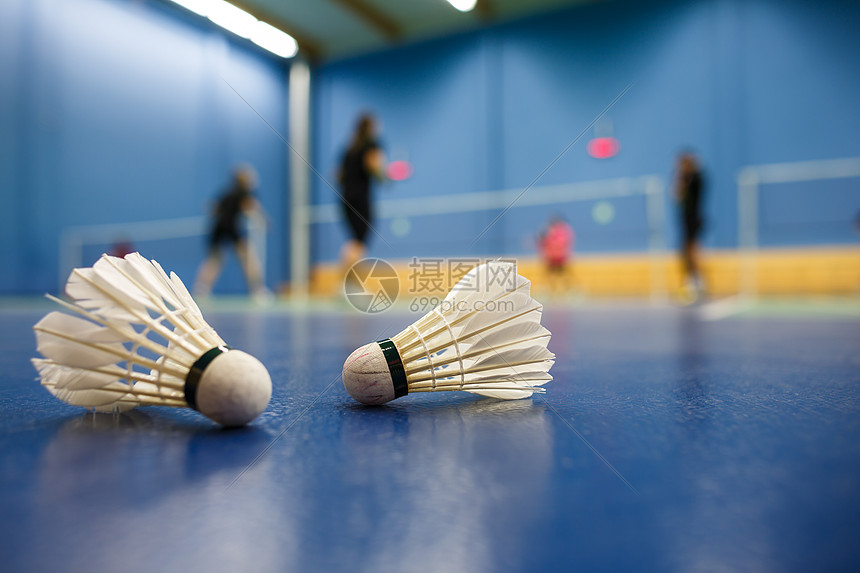 羽毛球羽毛球法庭 有参赛者竞争穿梭孔雀游戏训练玩家乐趣精神比赛细绳球拍竞赛羽毛图片