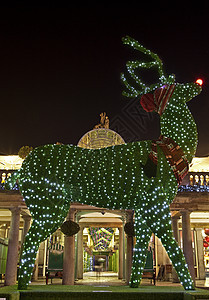 圣诞节在科文特花园的顶级驯鹿旅行喜庆季节性地标树木庆祝城市观光景点英语图片