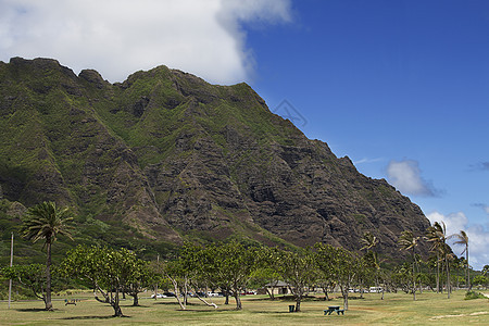 卡哈纳山谷州公园岩石天空公园棕榈森林风景场景电影图片