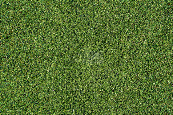 人工地皮绿色法庭足球草皮地毯植物场地塑料墙纸草地花园图片