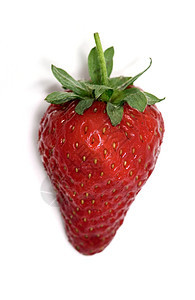 白色背景上孤立的红色成熟草莓甜点热情小吃水果季节早餐饮食营养市场宏观图片
