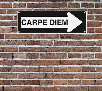 Carpe Diem 木雕路标砖墙红色单程死亡警告地毯光阴职业概念背景图片