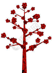 红花树花朵插图植物分支机构背景图片