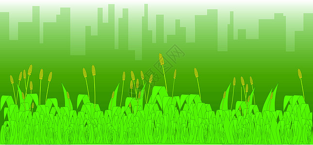 薄雾清晨草皮插图景观杂草生长绿色烟雾城市种子图片